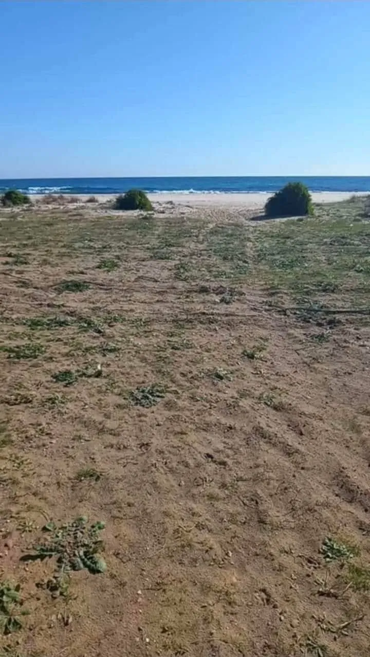 Un hectare a hammem el ghzéz