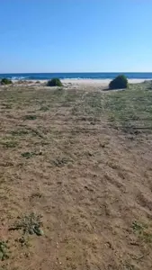 Un hectare a hammem el ghzéz