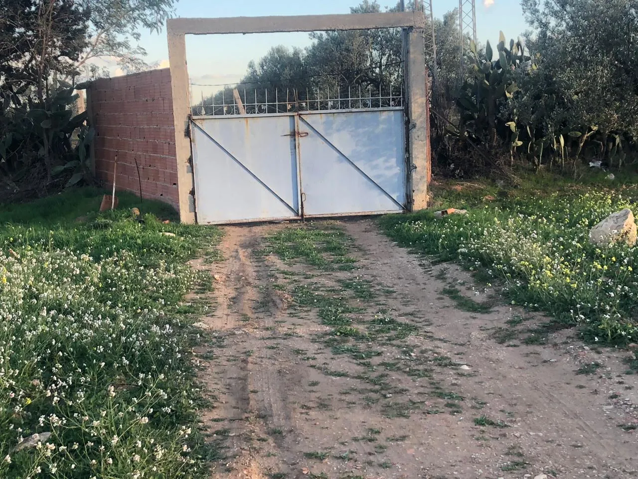 đTerrain Agricole + Maison S2 En Vente | Sidi Bou Ali, El Jabia