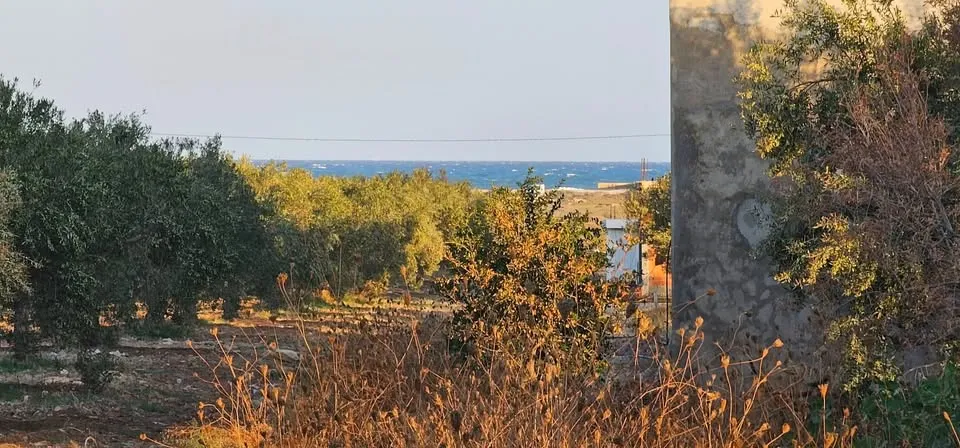 ب-31 مليون أكهو أرض على بحر في كلم 71