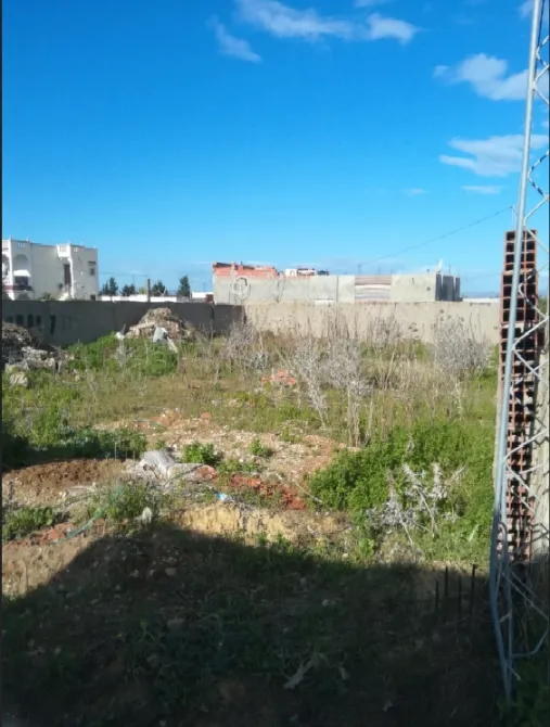 Forsa à Borj Touil
