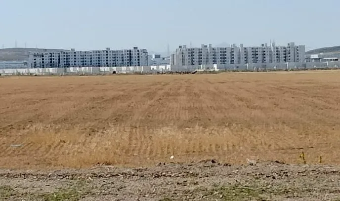 el fejja terrain صبغة سكنية 