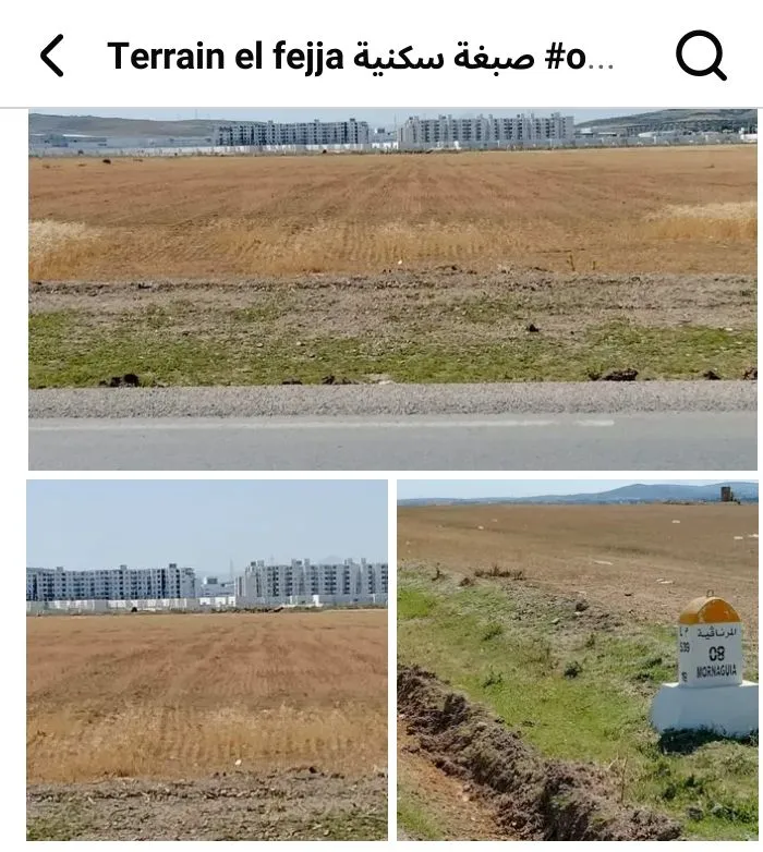 el fejja terrain صبغة سكنية 
