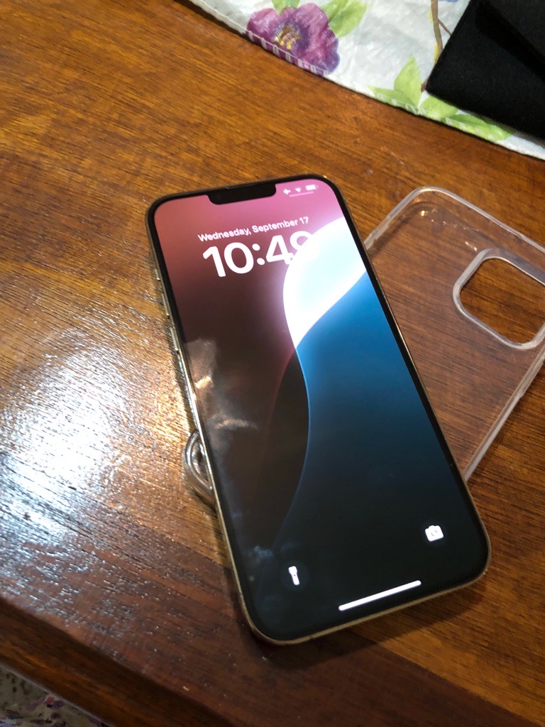 iPhone 13 pro max