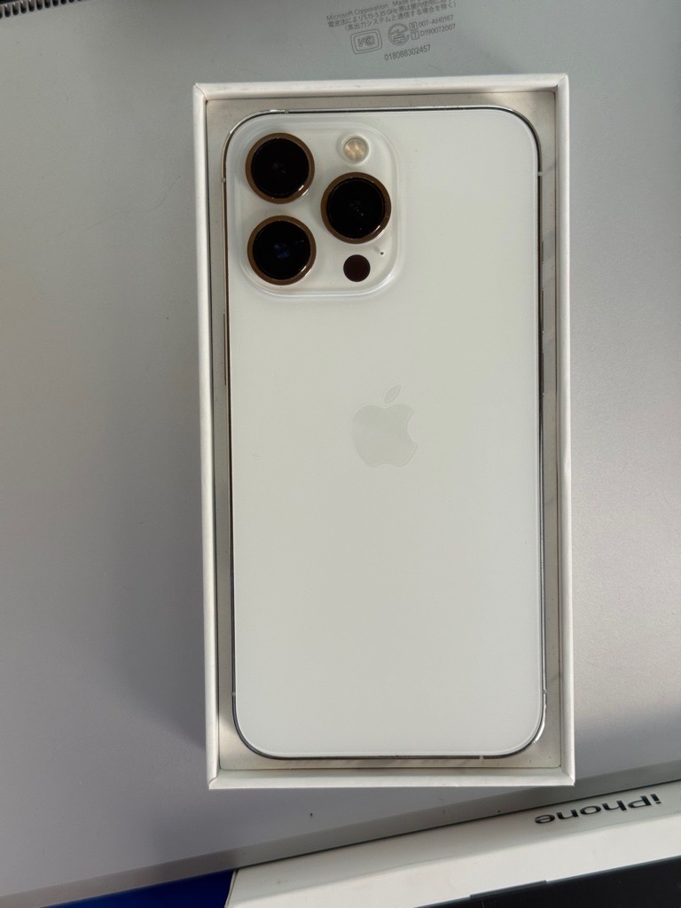 iPhone 13 Pro 