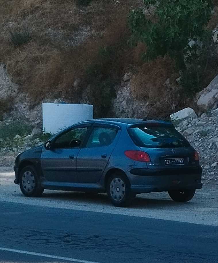 Gris Shark
