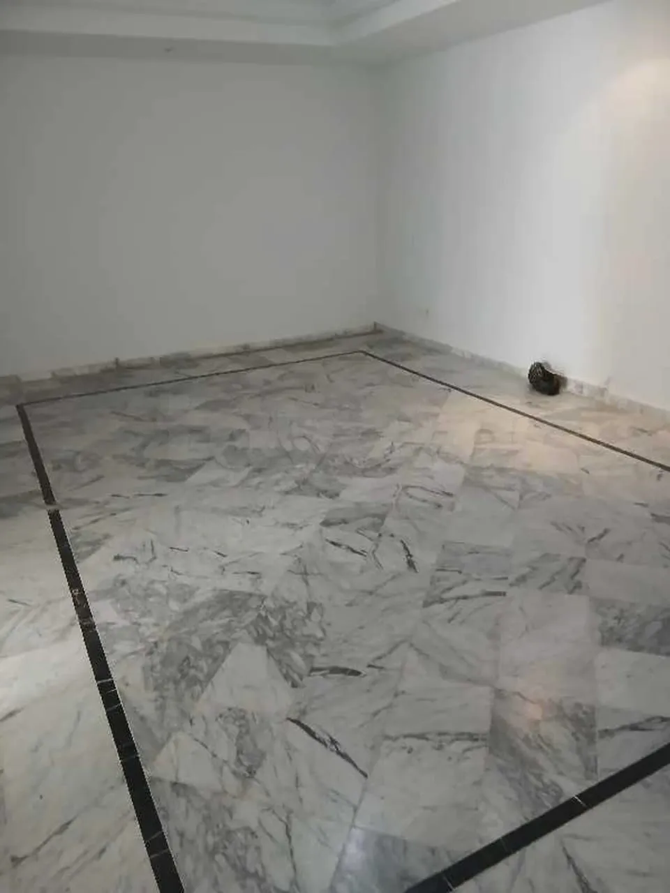 un spacieux appartement s+2 HS au 1er étage (avec ascenseur) a louer a Jardin D'El Manzah 2