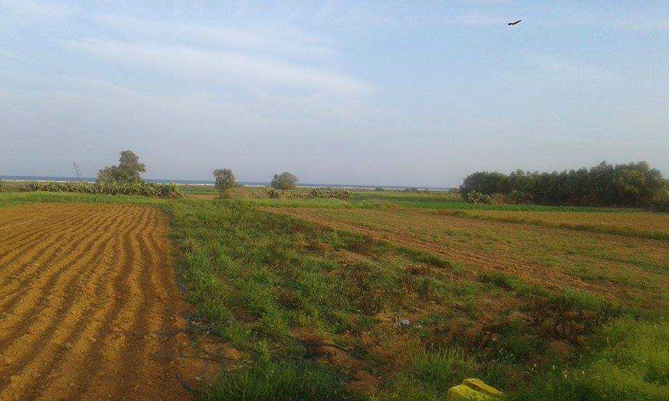 Terrain a daroufa Maamoura Nabeul 1022m²