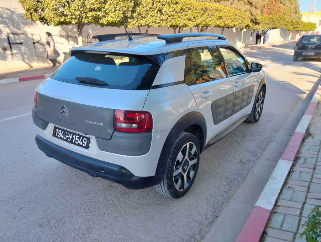 C4 CACTUS