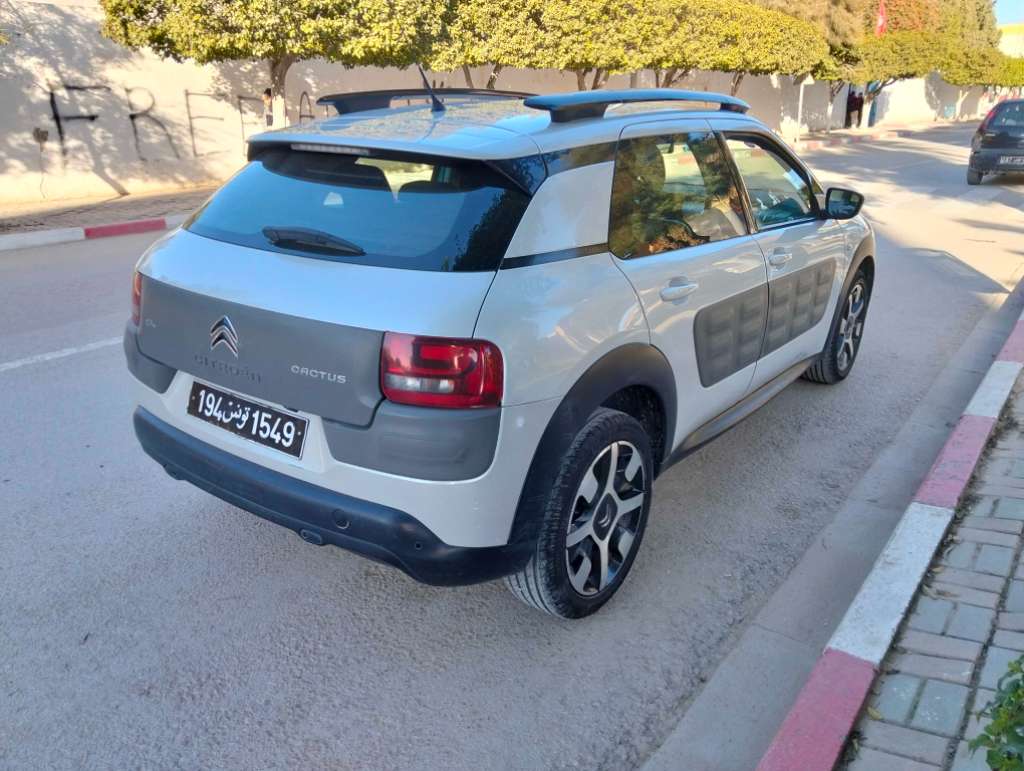 C4 CACTUS