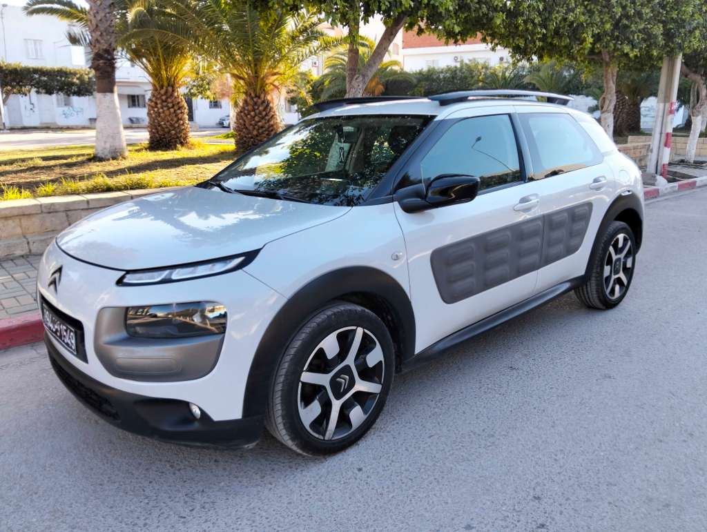 C4 CACTUS