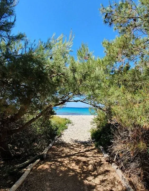 un terrain a ne pas rater 