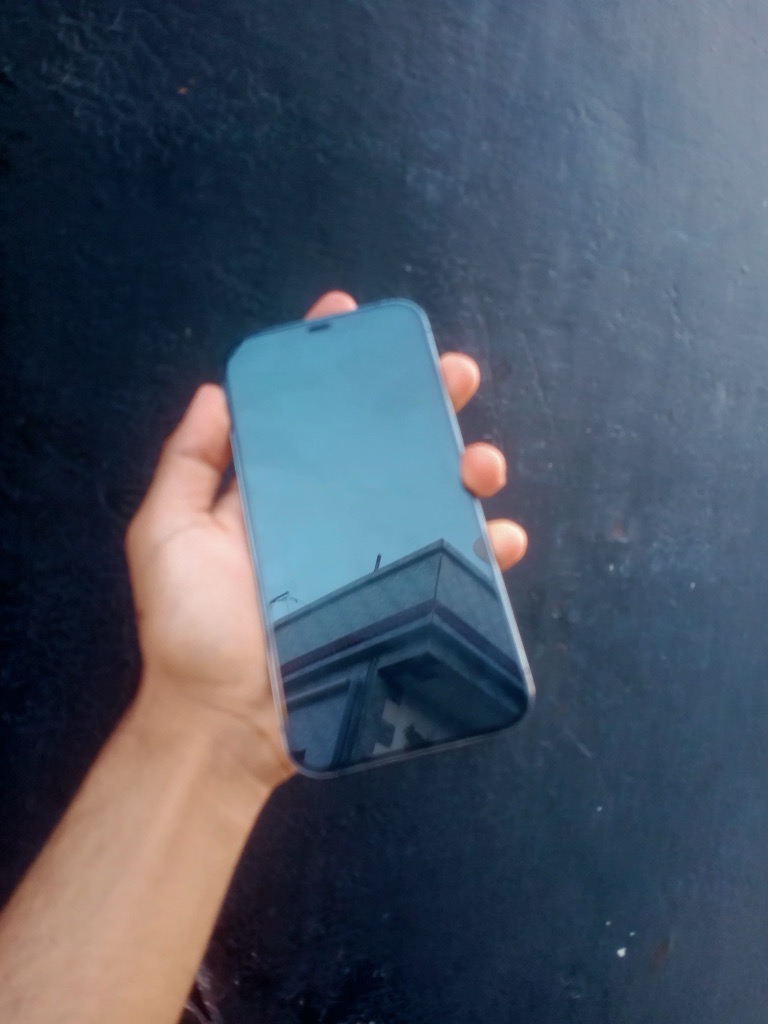iphone 12 pro max
