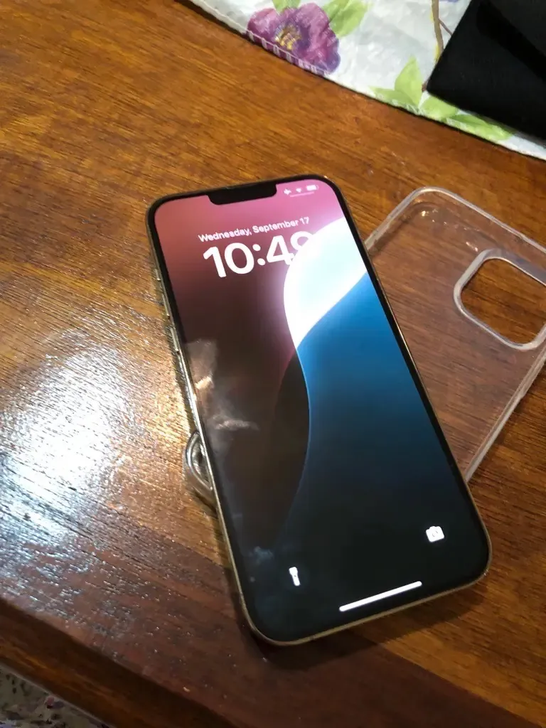 Special Edition iPhone 13 Pro Max 256GB Batterie  100% european 1950dt