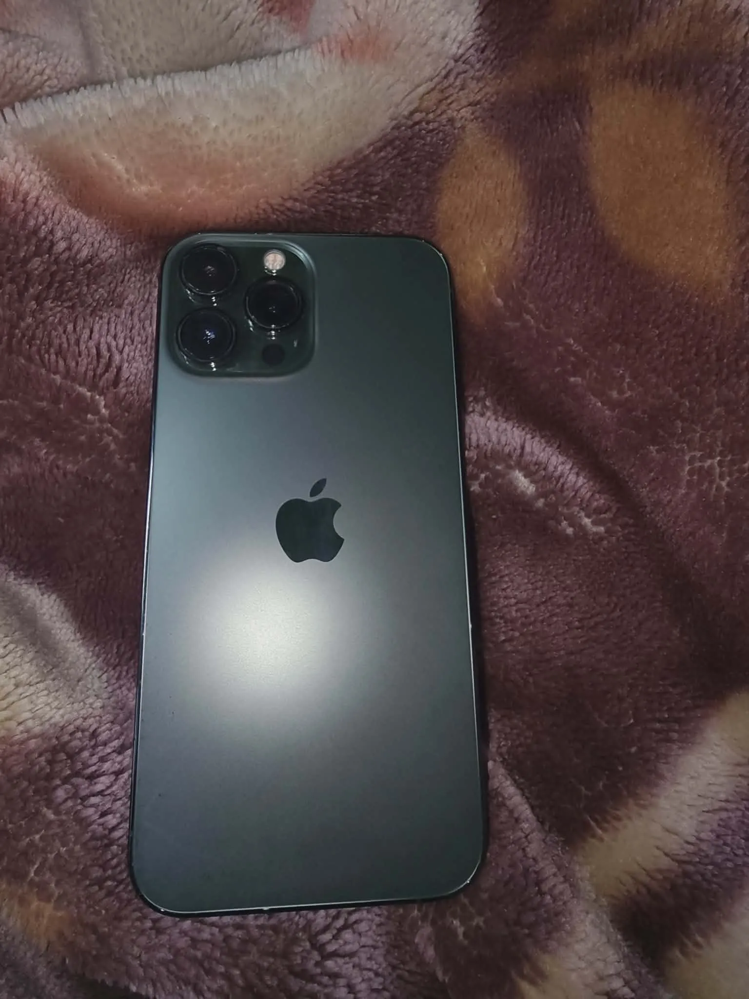 Special Edition iPhone 13 Pro Max 256GB Batterie  100% european 1950dt