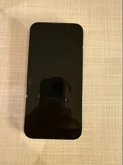 Special Edition iPhone 13 Pro Max 256GB Batterie  100% european 1950dt