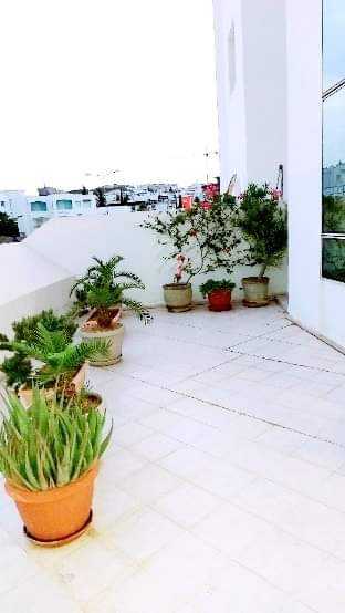 S2 meublé ht standing pour étranger 