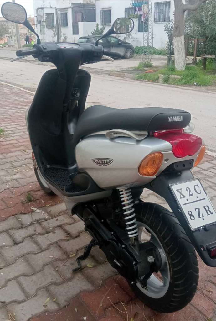 Ovetto double aiguille