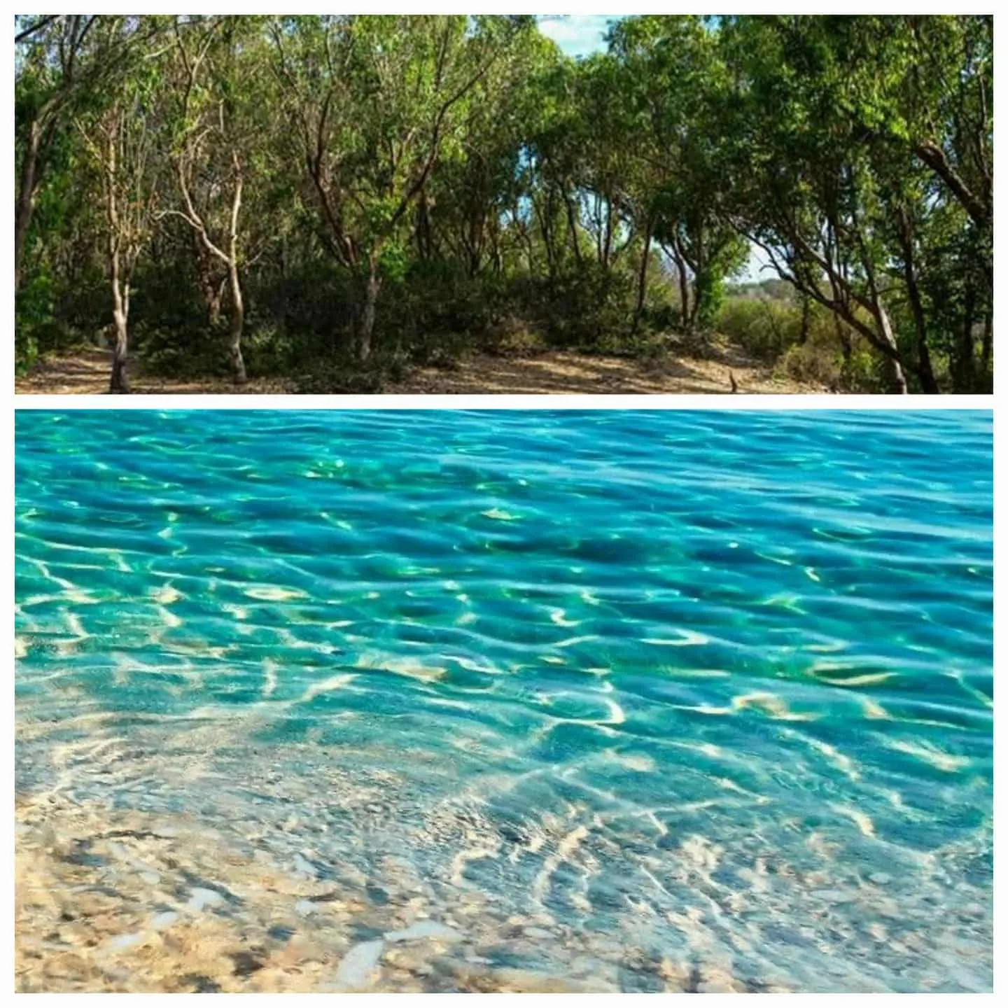 occasion magique de 1000 m²