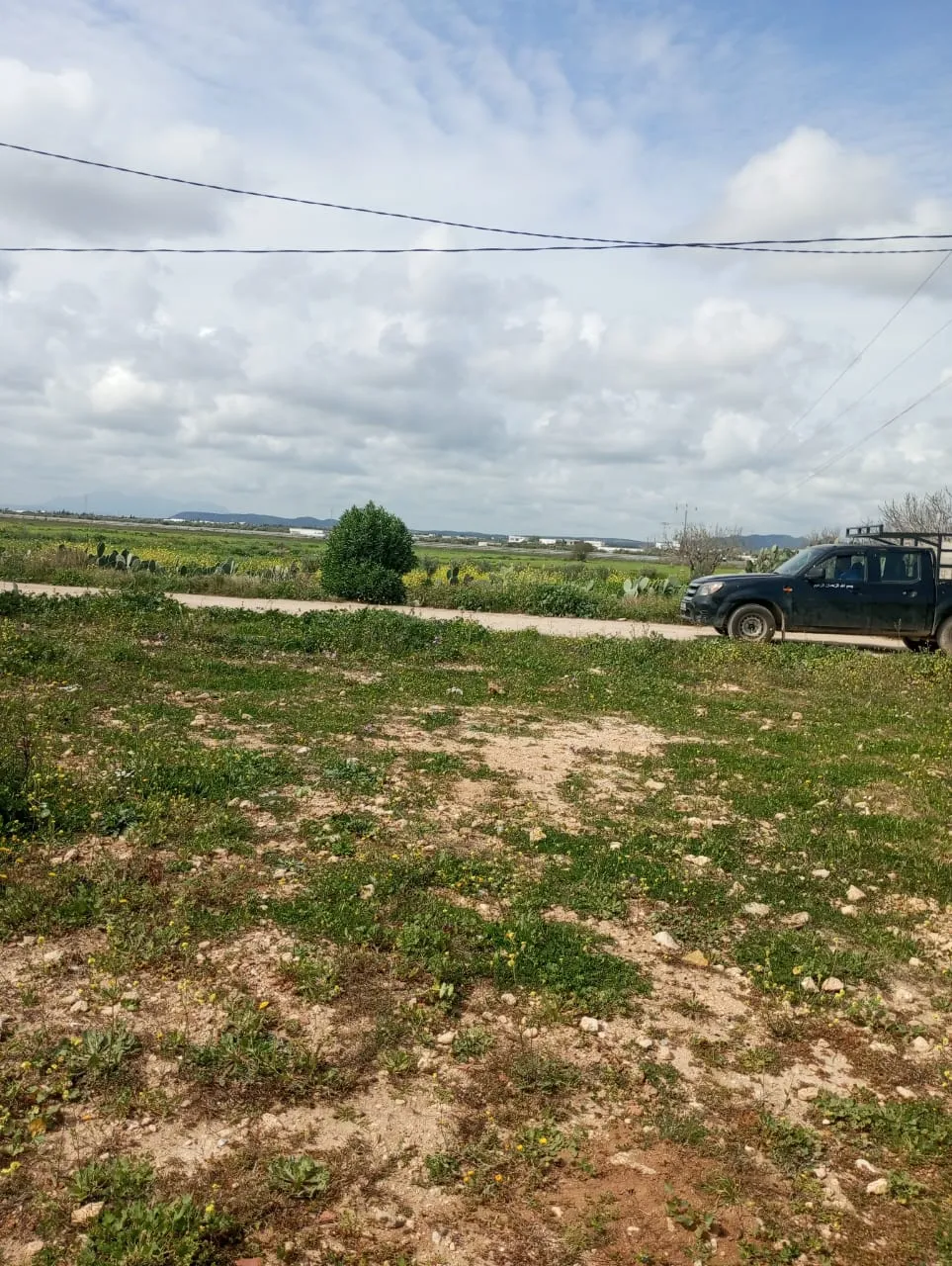 beau terrain de 250m à hammamet sud 