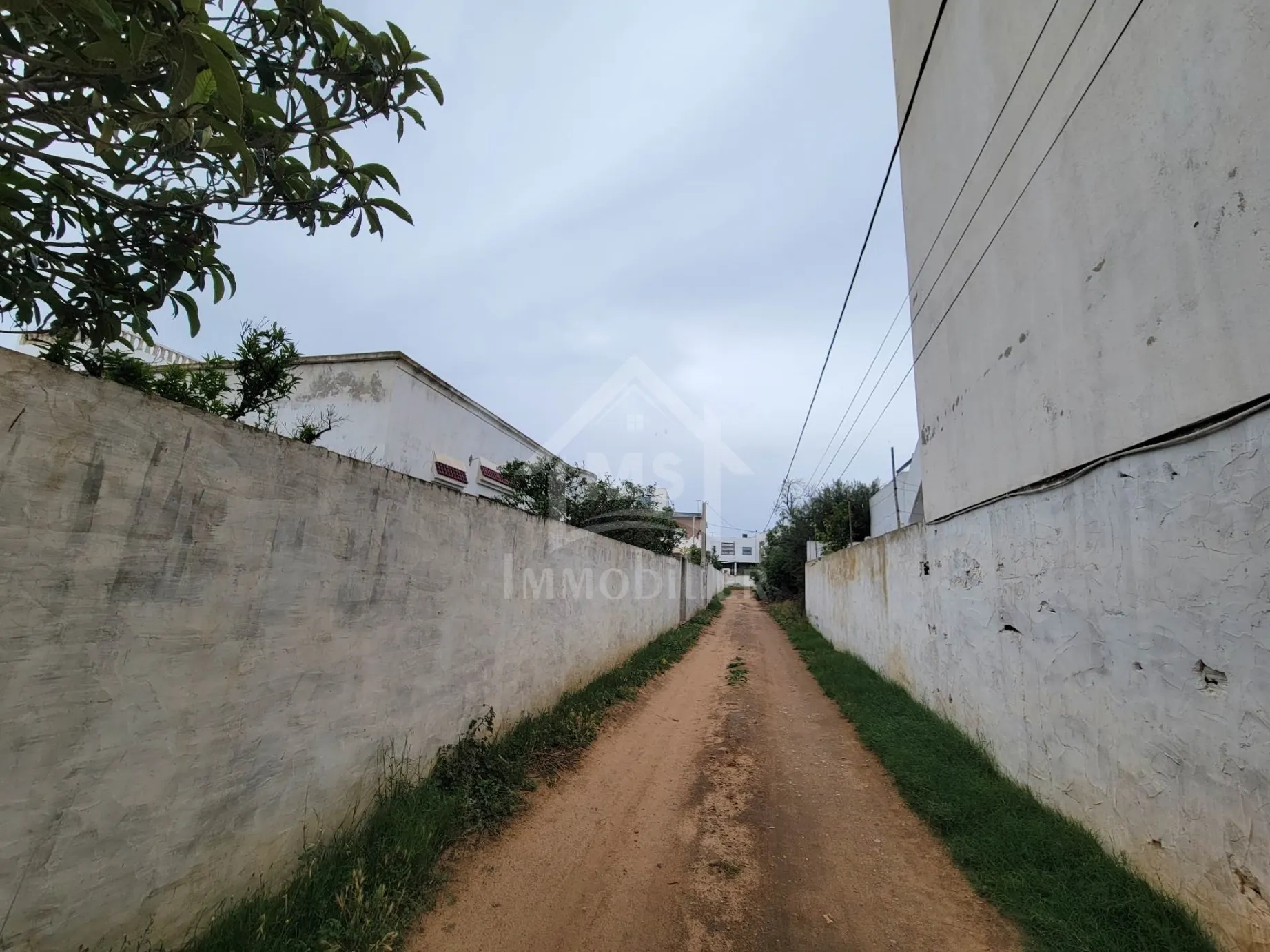 Terrain de 240 m² à Hammamet à vendre à 110 MD 51355351