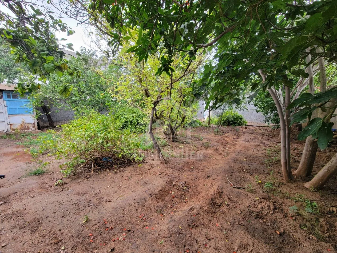 Terrain de 240 m² à Hammamet à vendre à 110 MD 51355351
