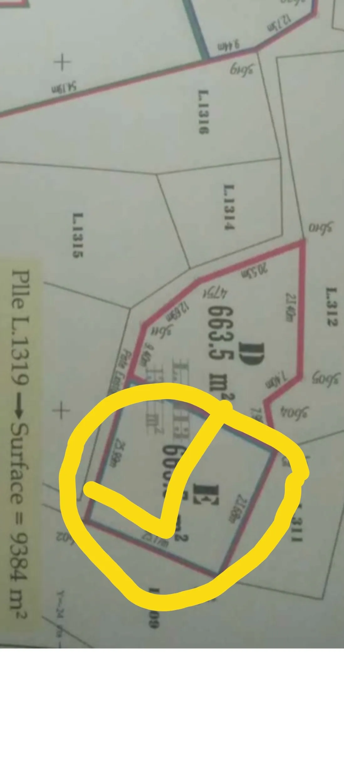 أرض فلاحية للبيع رفراف (صونين)