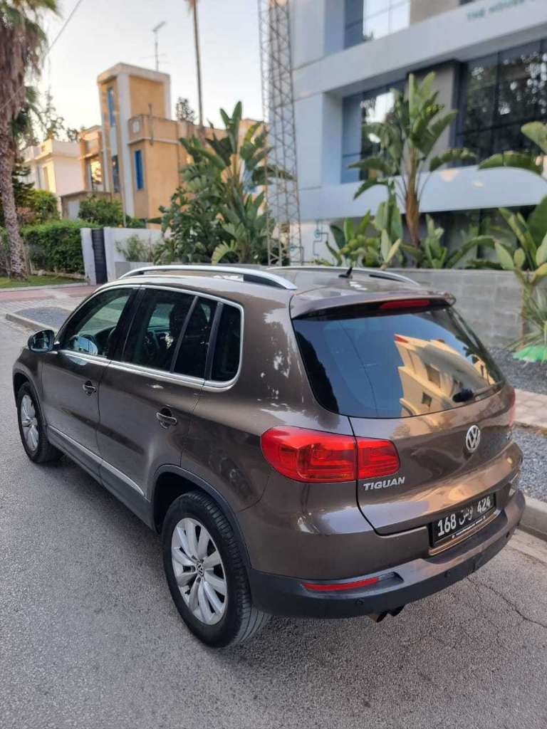Tiguan 4×4