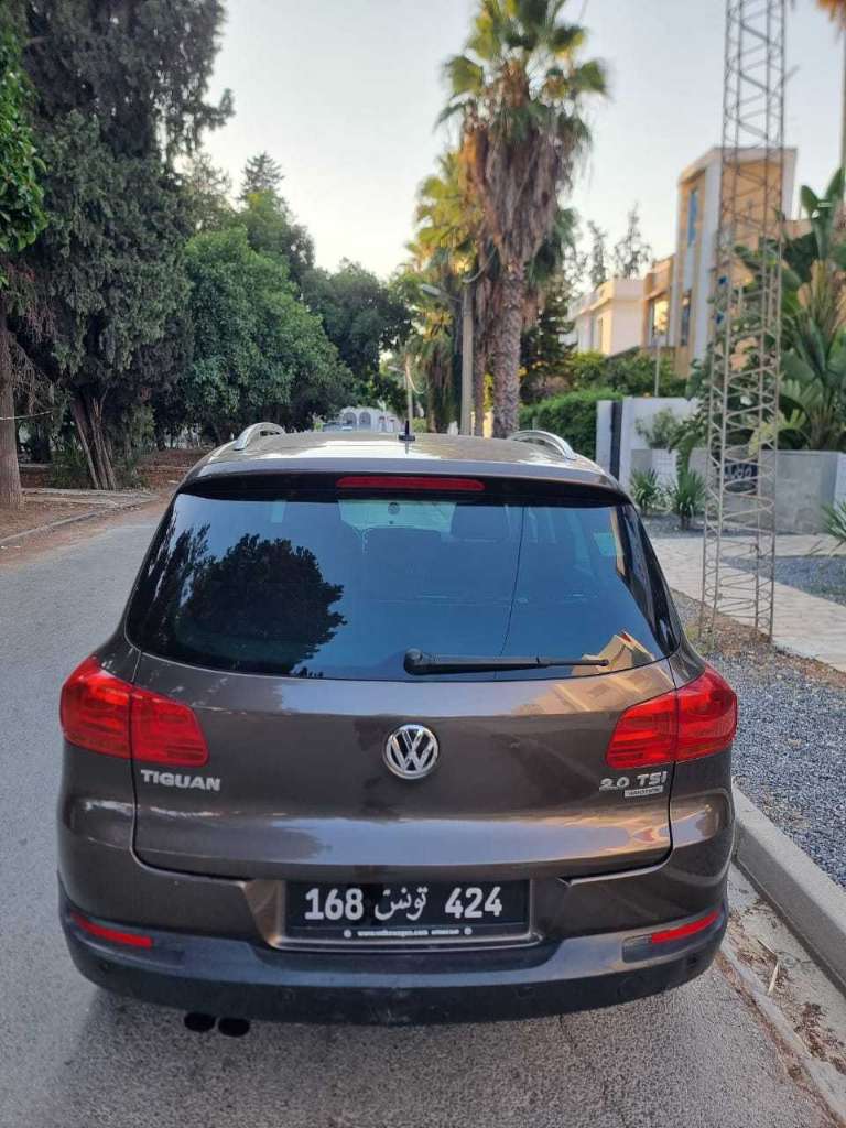 Tiguan 4×4