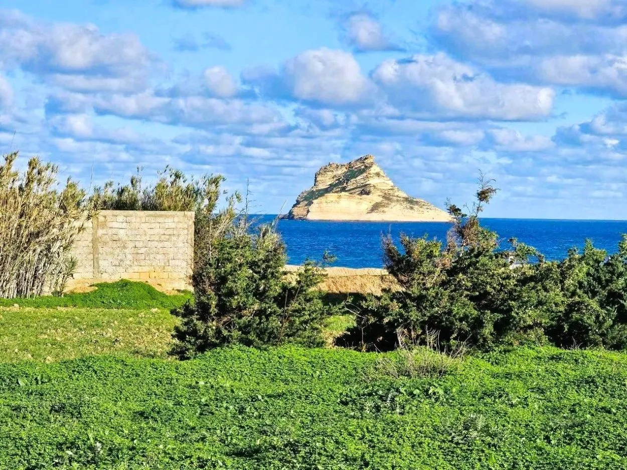 🏝 Terrain 1050 m2 rafraf plage ain mestir  🏖