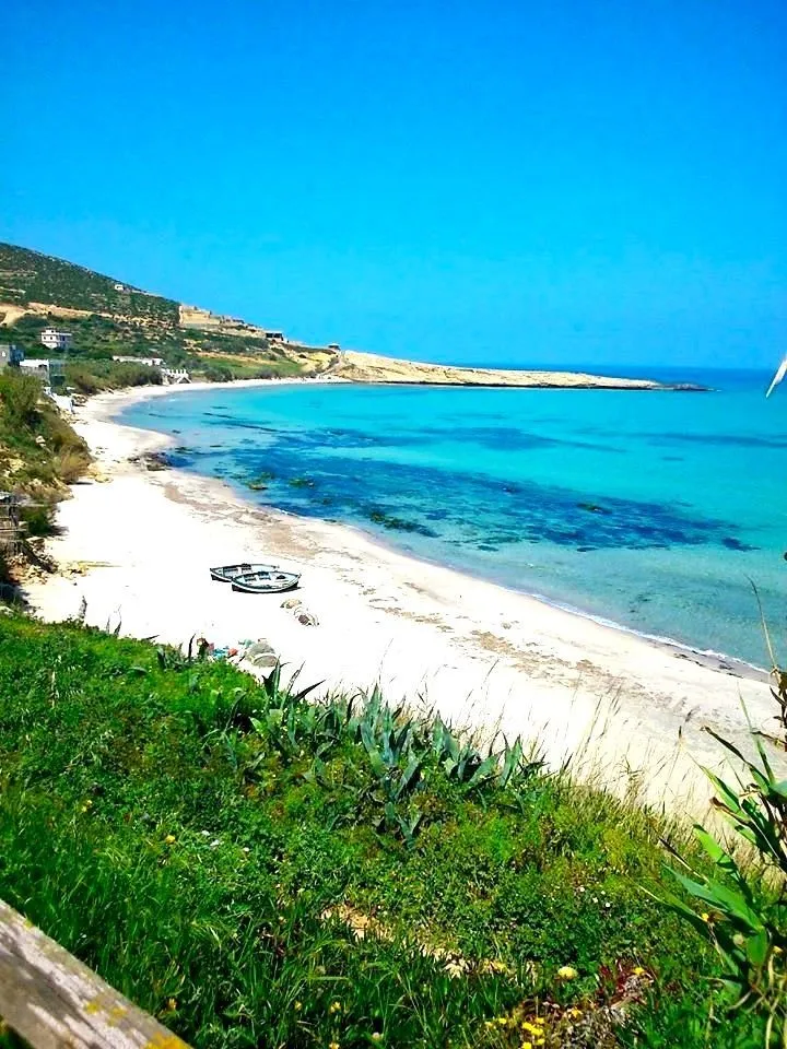 🏝 Terrain 1050 m2 rafraf plage ain mestir  🏖