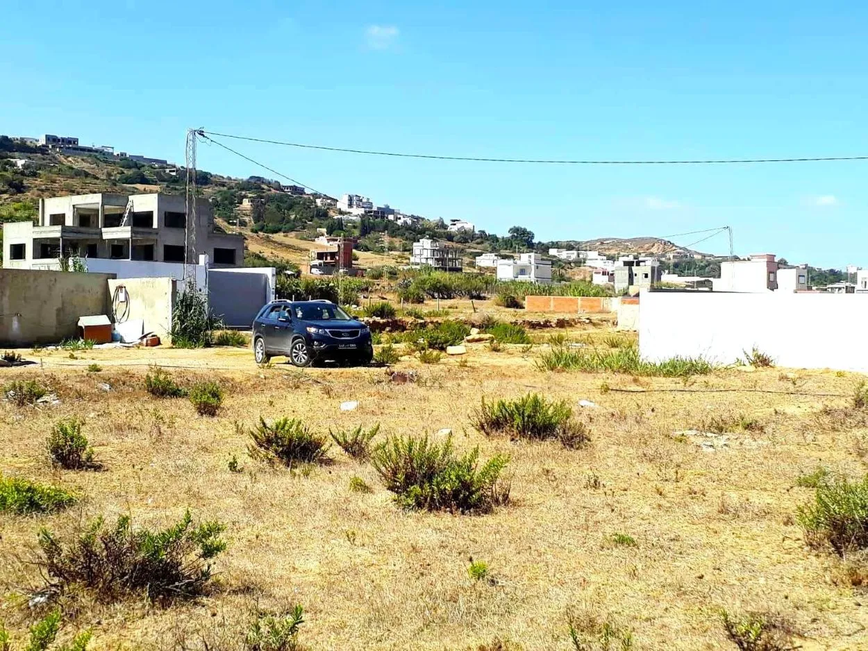 🏝 Terrain 1050 m2 rafraf plage ain mestir  🏖