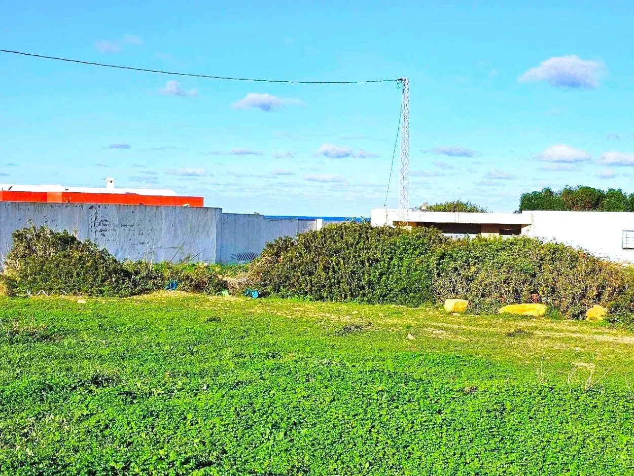 🏝 Terrain 1050 m2 rafraf plage ain mestir  🏖