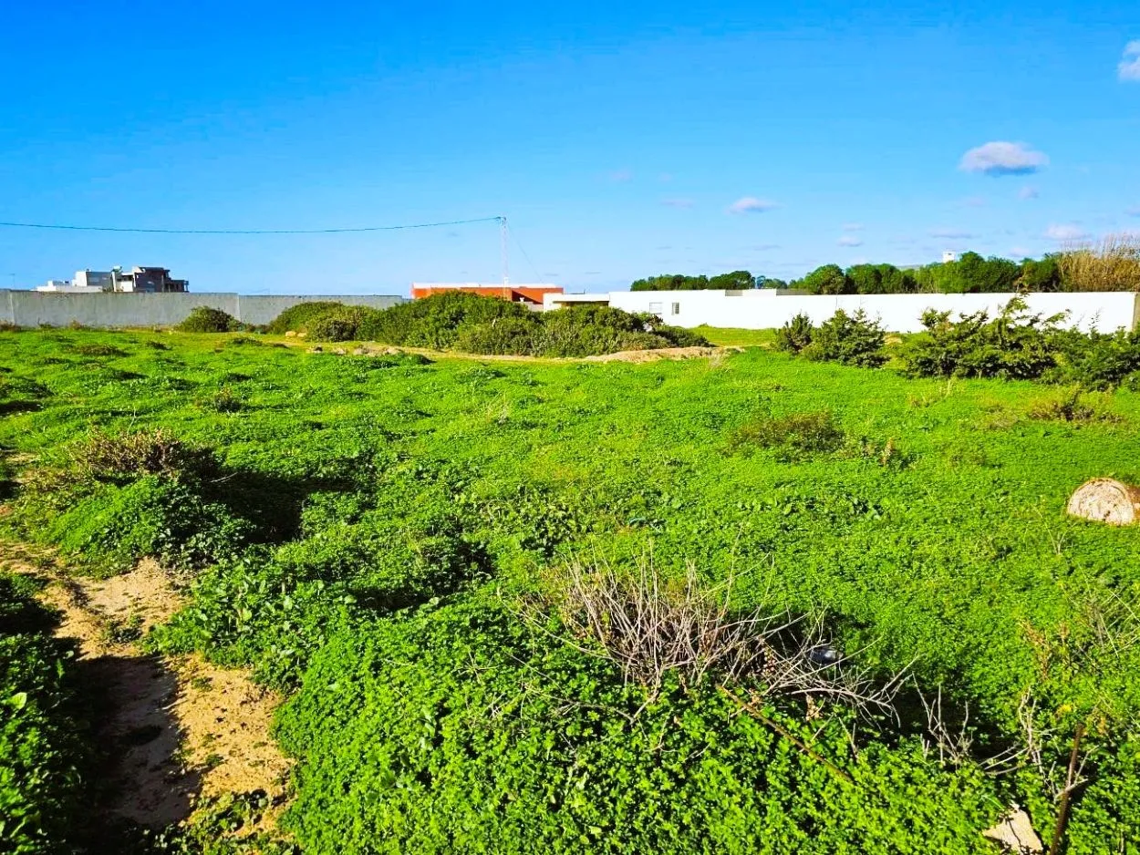 🏝 Terrain 1050 m2 rafraf plage ain mestir  🏖