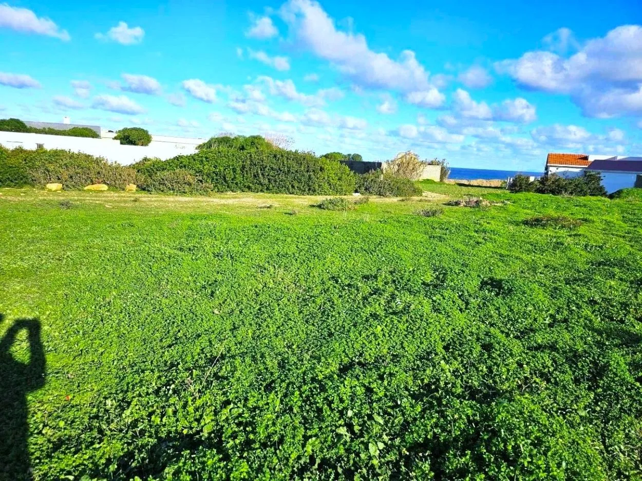 🏝 Terrain 1050 m2 rafraf plage ain mestir  🏖