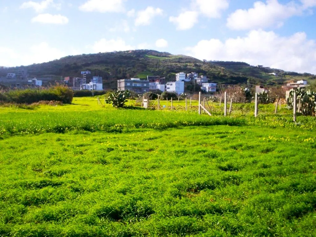 🏝 Terrain 1050 m2 rafraf plage ain mestir  🏖