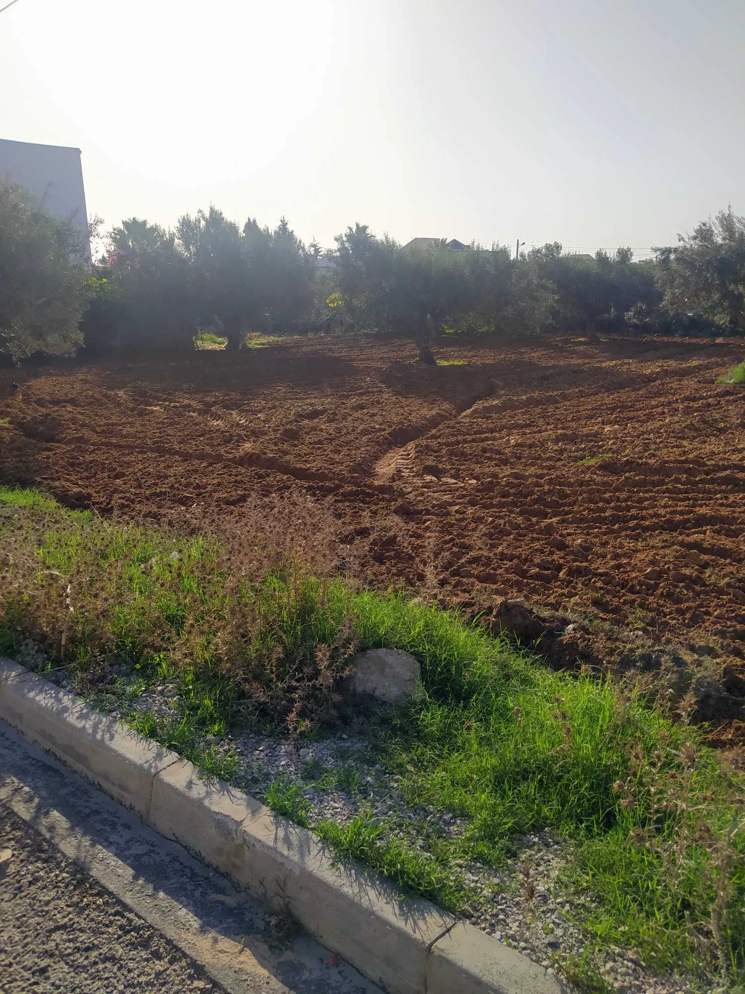 Terrain a vendre