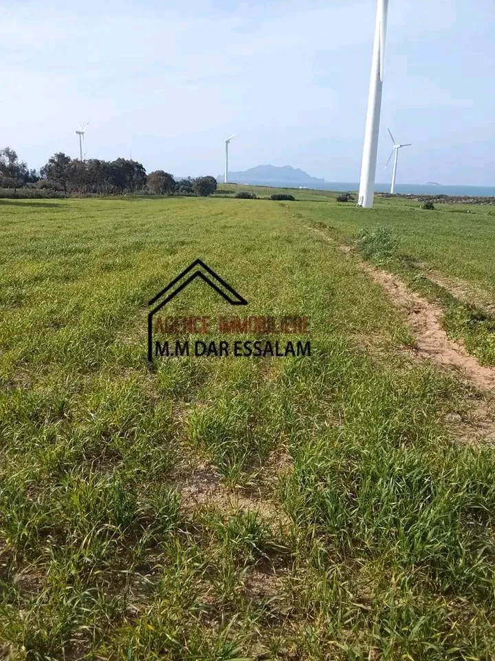 terrain agricole près de la mer