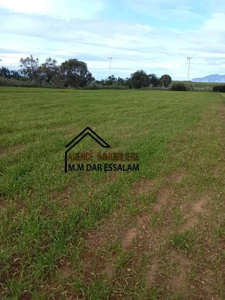 terrain agricole près de la mer