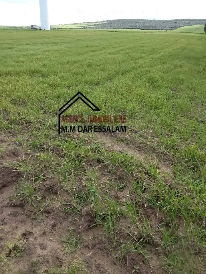 terrain agricole près de la mer