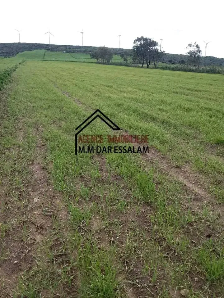 terrain agricole près de la mer