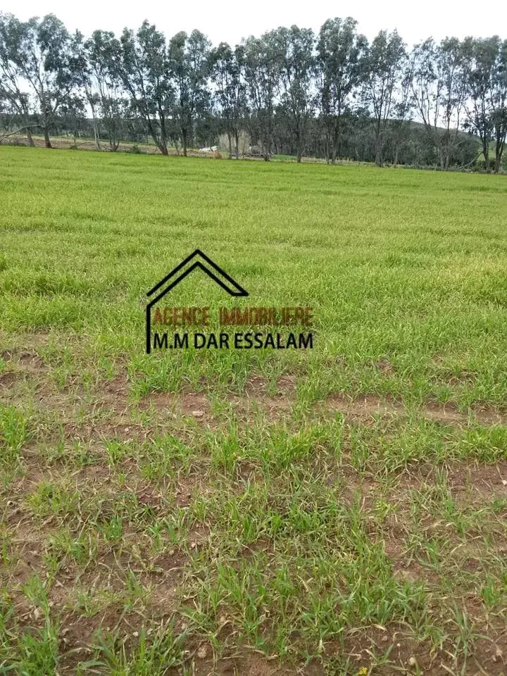 terrain agricole près de la mer