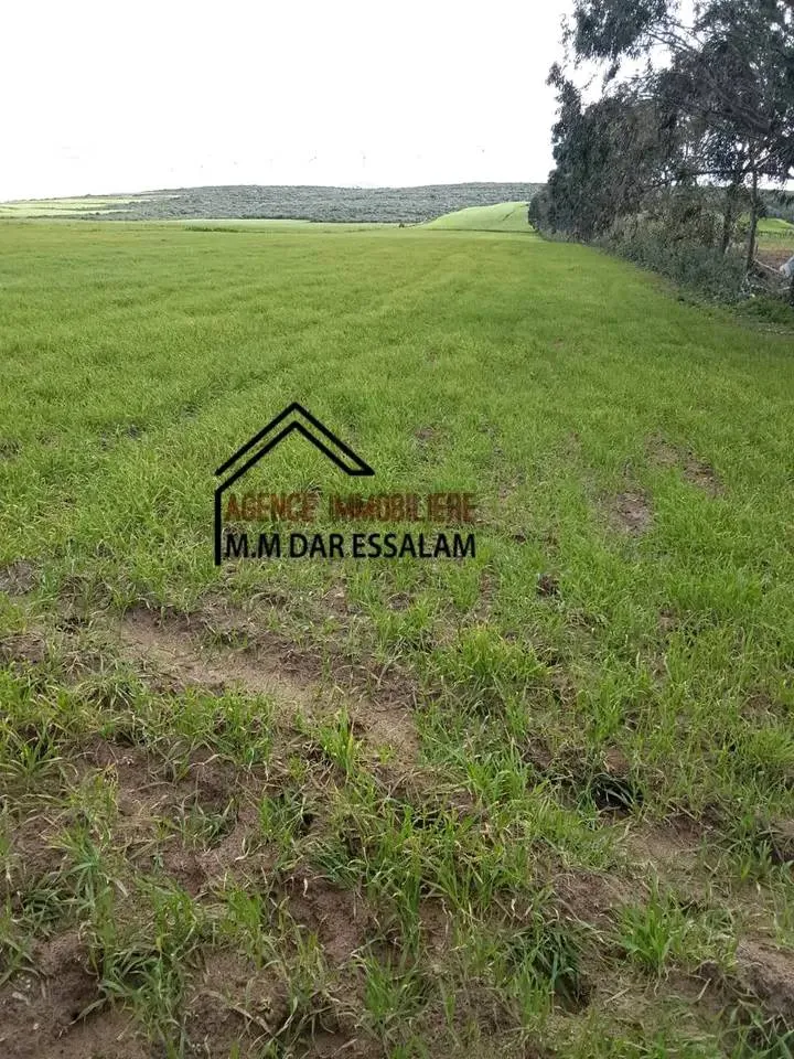 terrain agricole près de la mer