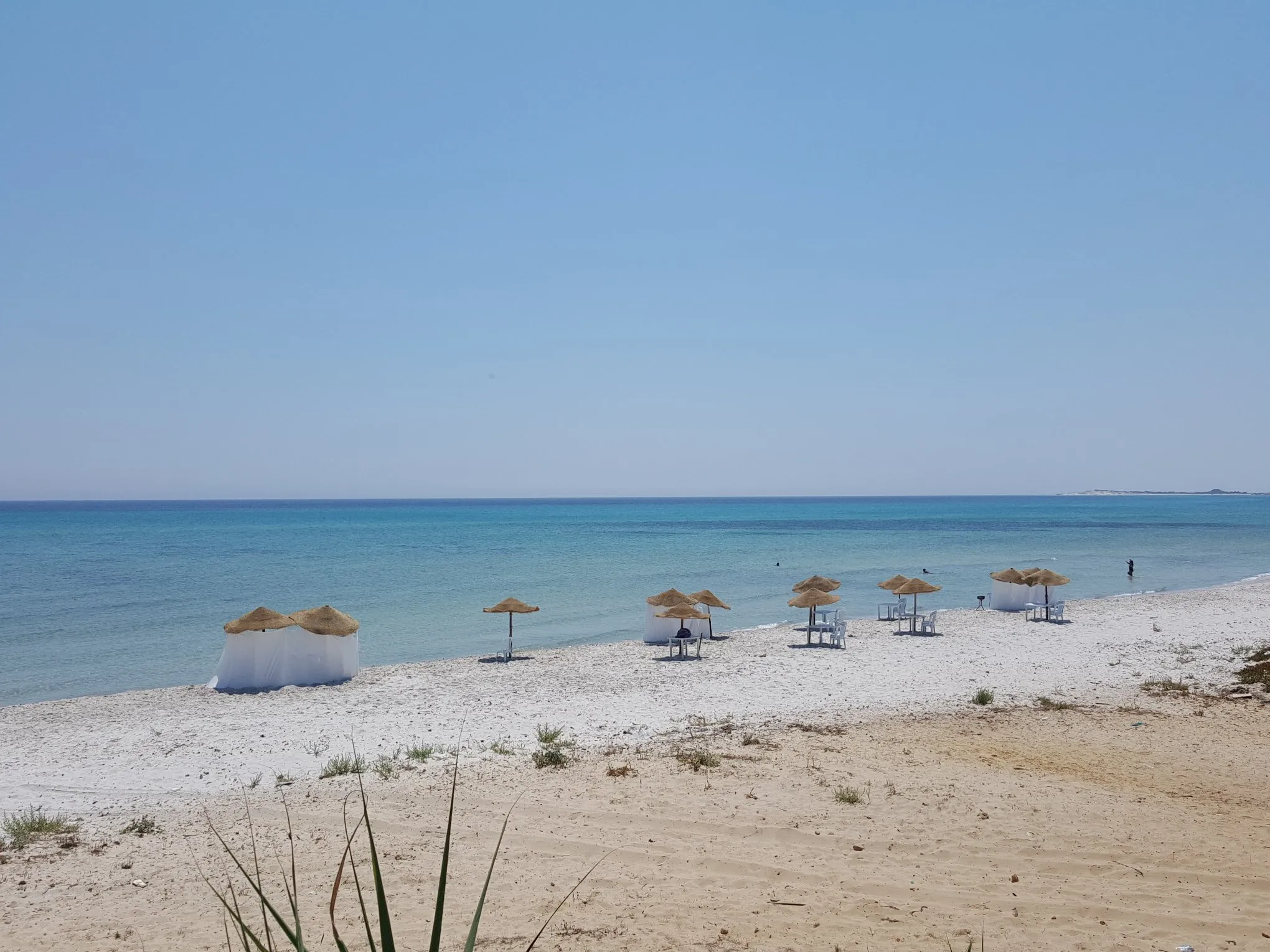 Terrain au cap bon 1000 m2