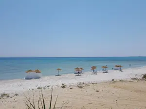 Terrain au cap bon 1000 m2