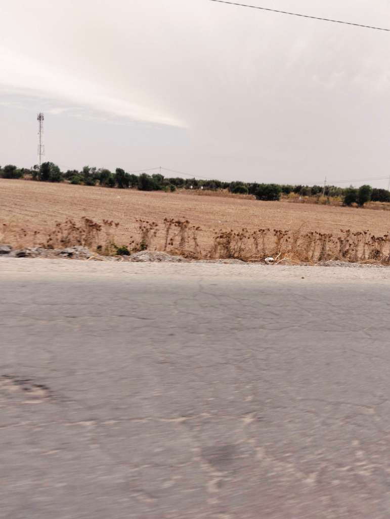 Terrain industriel 