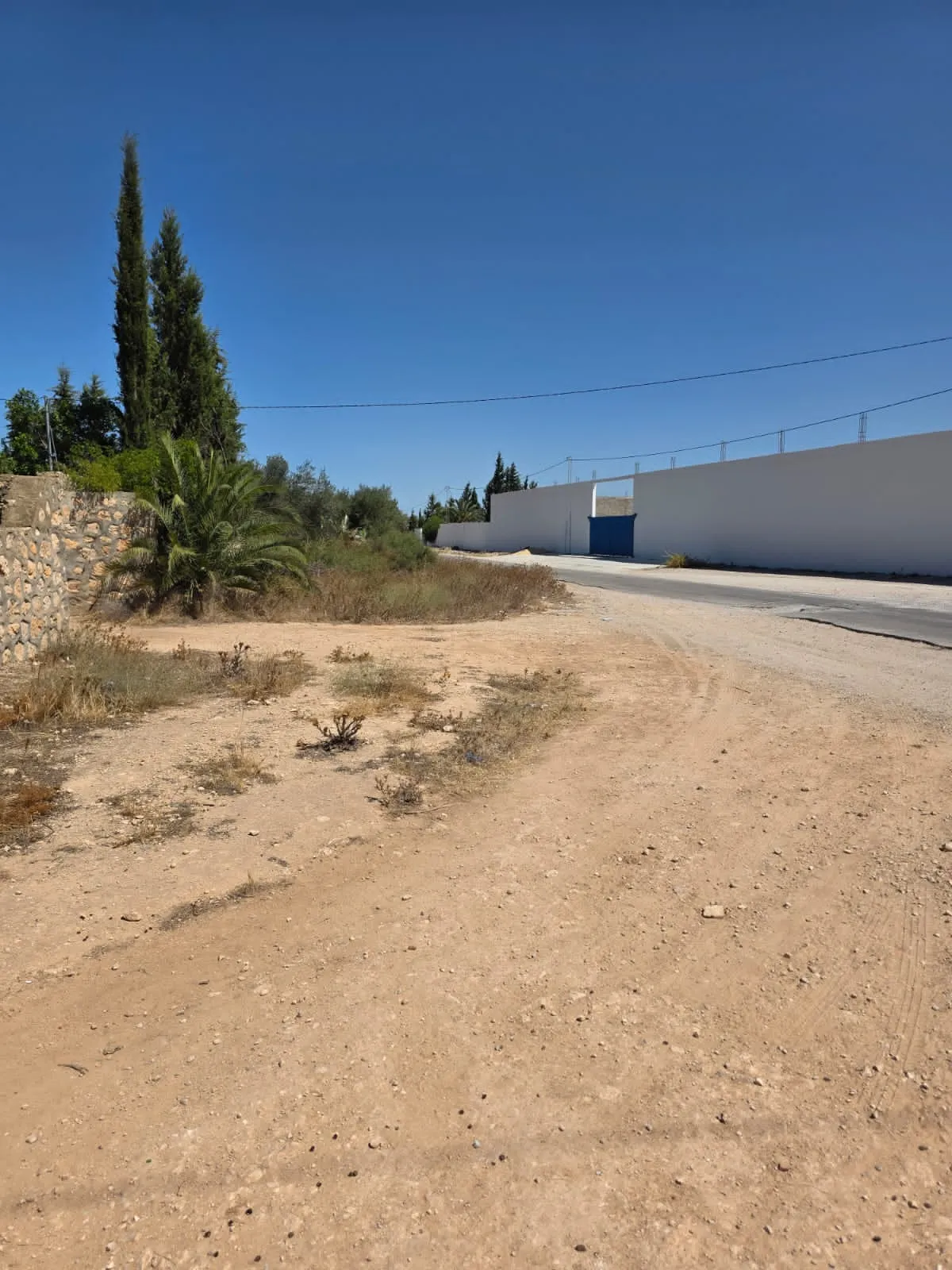 đłINVESTISSEZ DANS LA TERRE: Terrain Agricole TitrĂ© Ă Knena â Sidi Bou AliđŸ