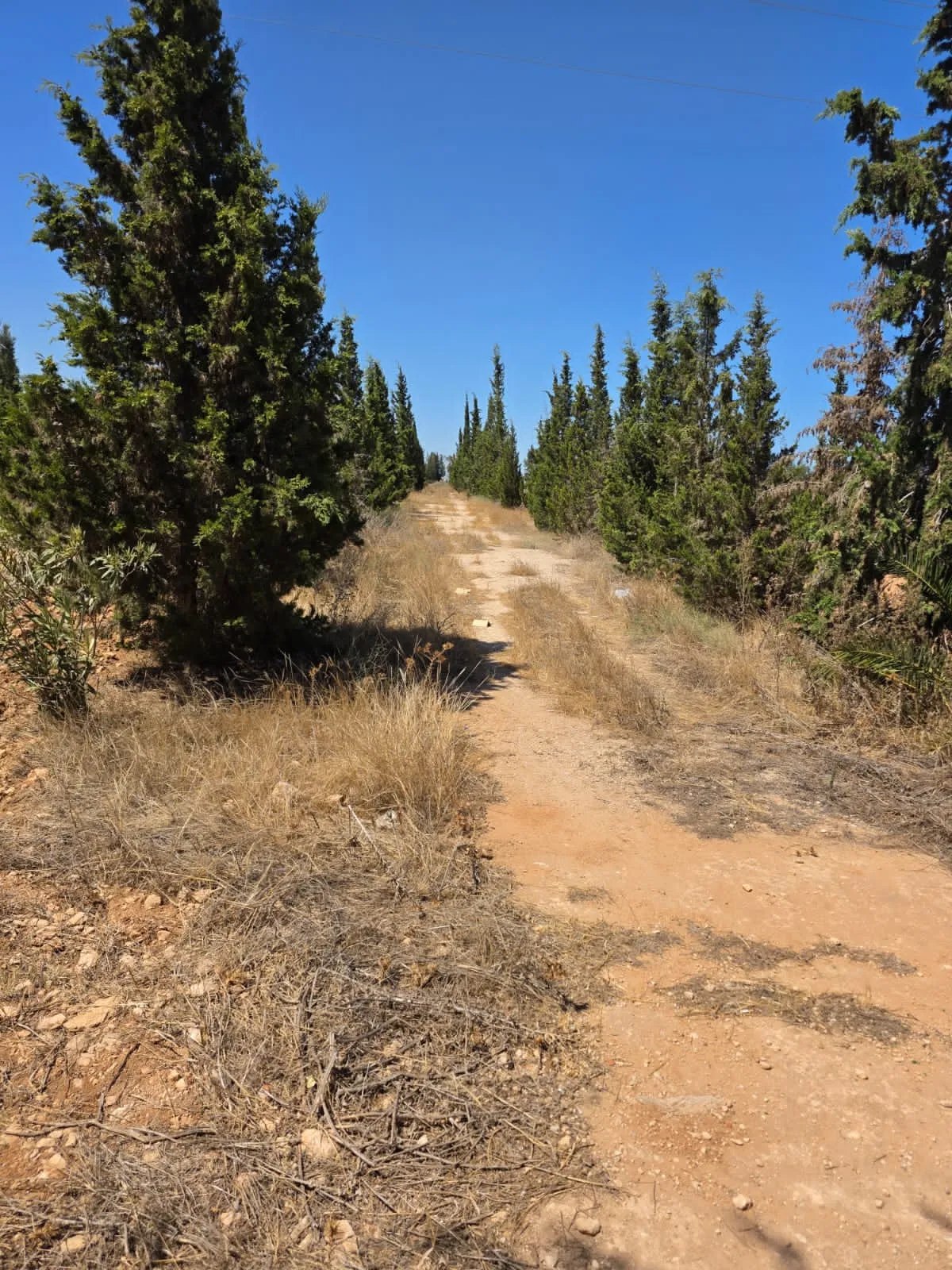 đłINVESTISSEZ DANS LA TERRE: Terrain Agricole TitrĂ© Ă Knena â Sidi Bou AliđŸ