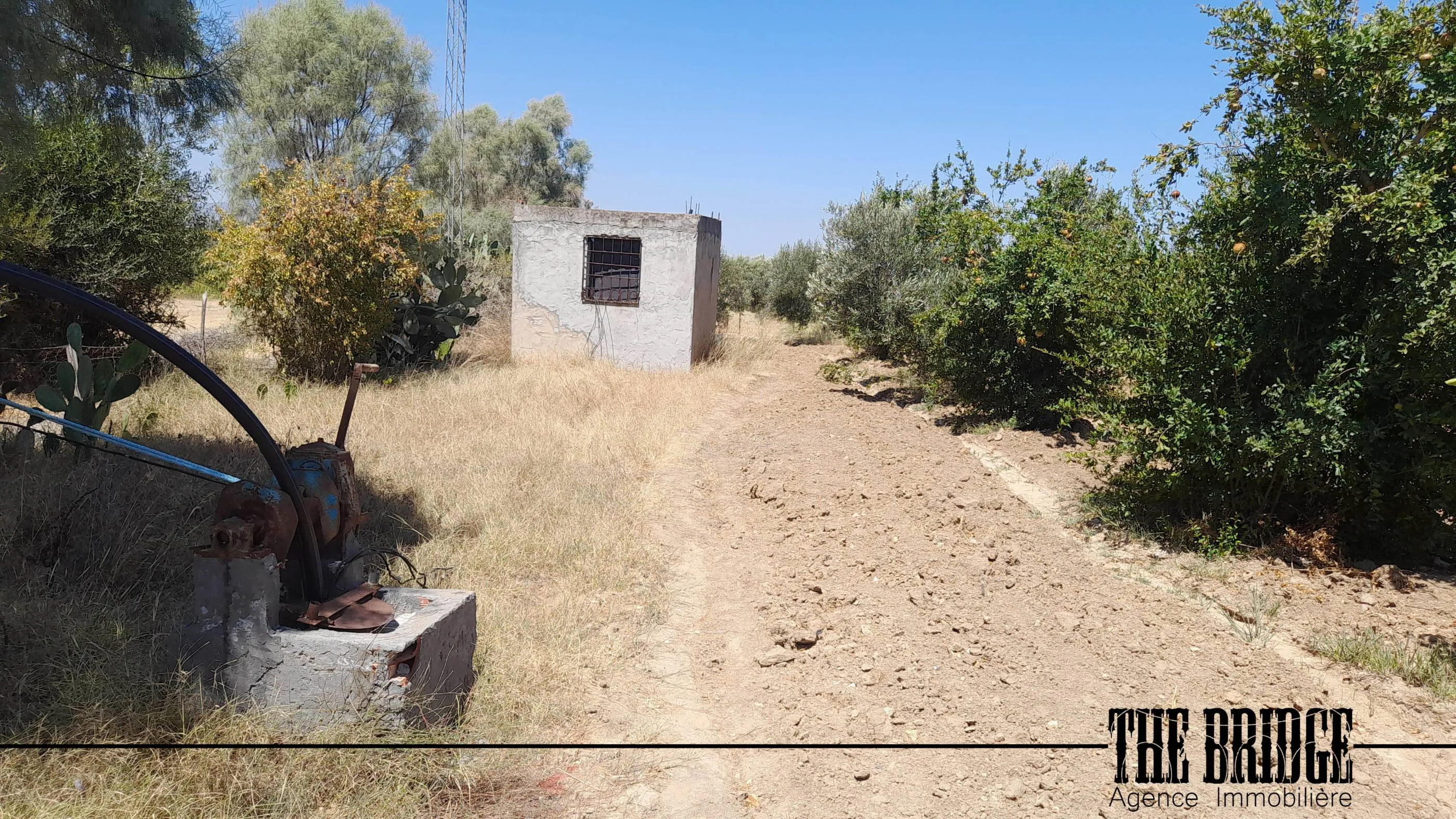 Ferme à Mhedhba route Nabeul