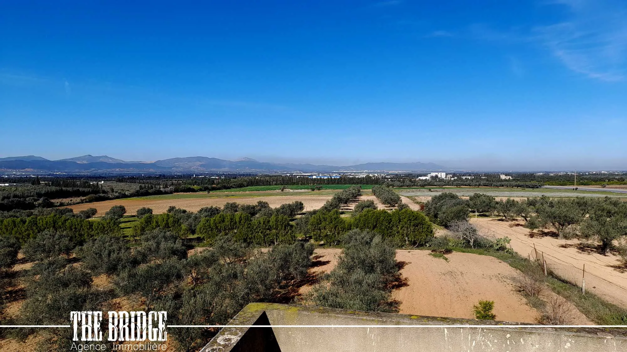 Ferme à Mhedhba route Nabeul